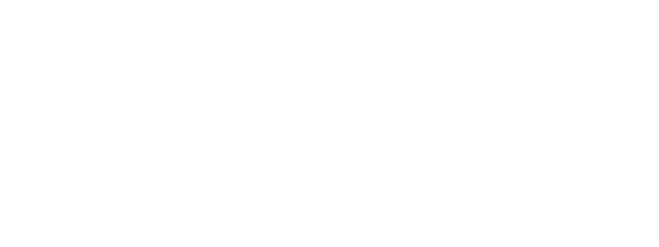 ALBION研究開発レポート ナノセスタ