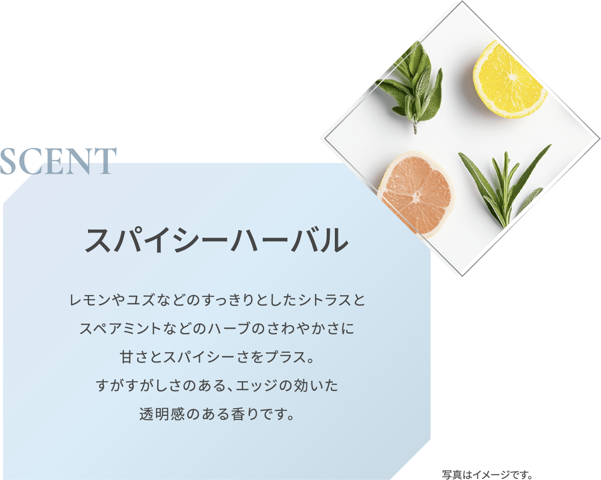 SCENT スパイシーハーバル レモンやユズなどのすっきりとしたシトラスと スペアミントなどのハーブのさわやかさに 甘さとスパイシーさをプラス。 すがすがしさのある、エッジの効いた 透明感のある香りです。