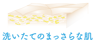 洗いたてのまっさらな肌