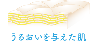 うるおいを与えた肌