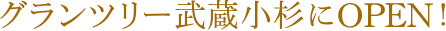 グランツリー武蔵小杉にOPEN！