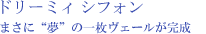 ドリーミィ シフォン まさに“夢”の一枚ヴェールが完成