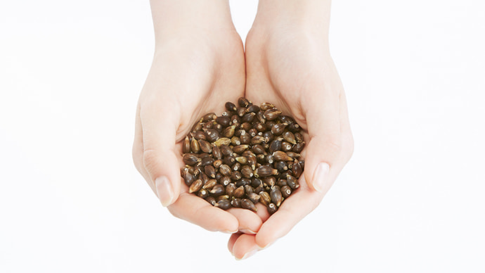 アルビオン オンライン ストア