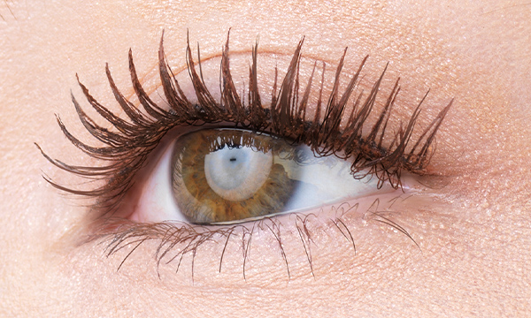 アルビオン エクシア ポイントメイク 2026 SPRING＆SUMMER | ALBION