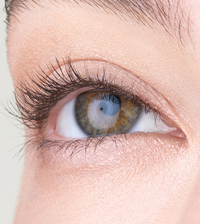 アルビオン エクシア ポイントメイク 2026 SPRING＆SUMMER | ALBION