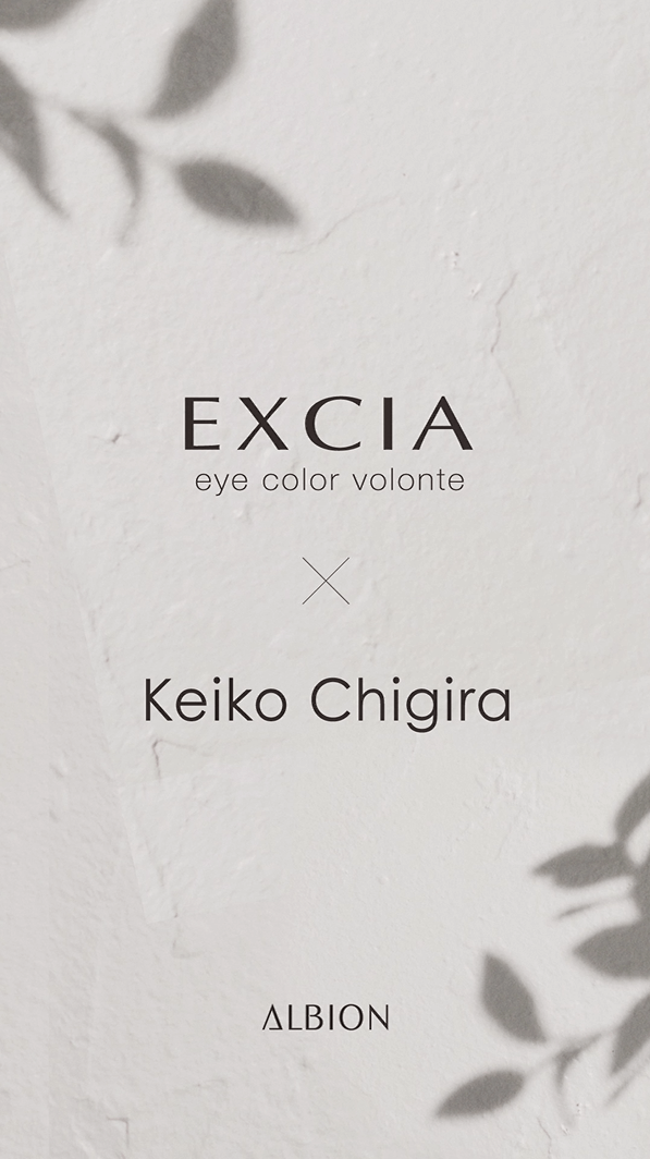 EXCIA アイカラー ボリューム カラーグラデーション 100